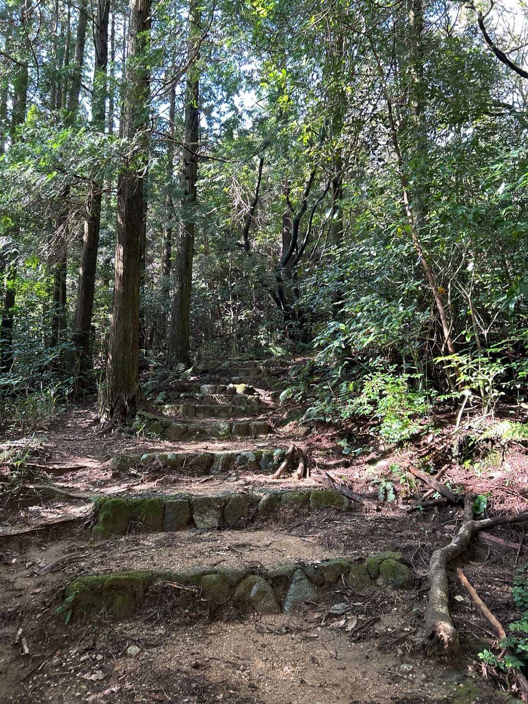 遅い時間から 石谷山まで歩いたら 直ぐに汗だくに成りました☀️
