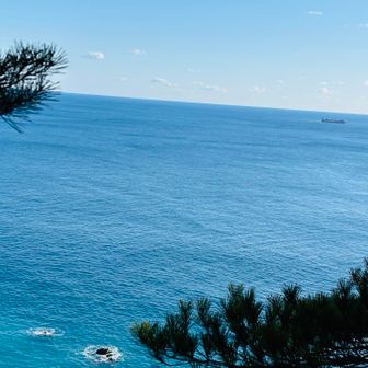 ‪✌︎(  'З' )✌︎うぃぃ～