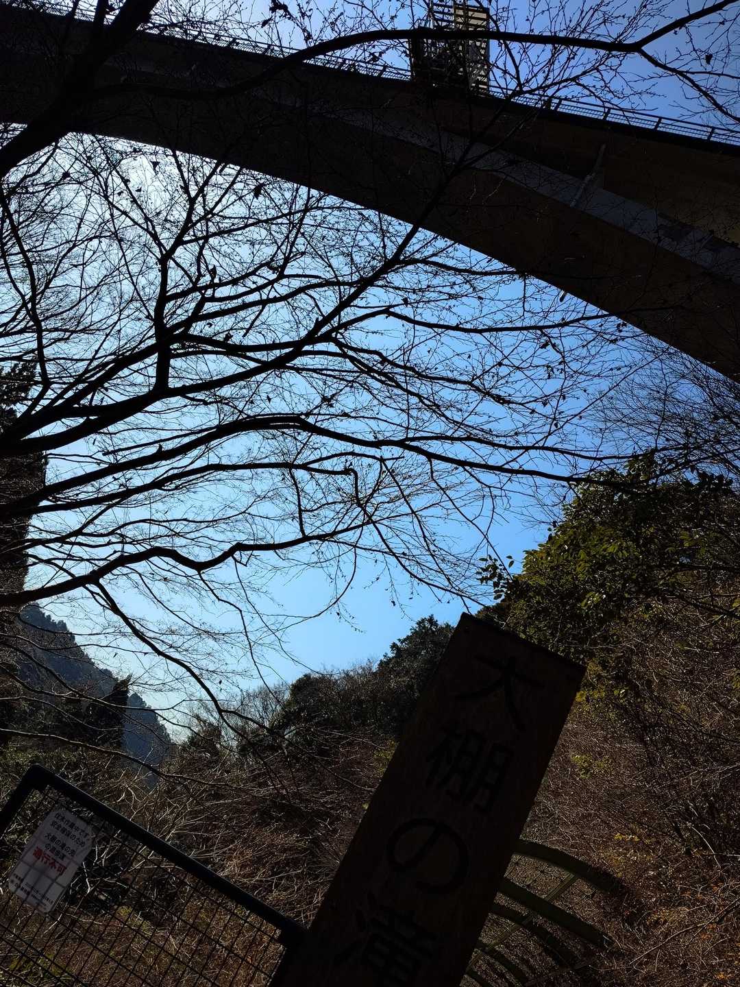 須津川渓谷のバンジージャンプを下から見る❗️