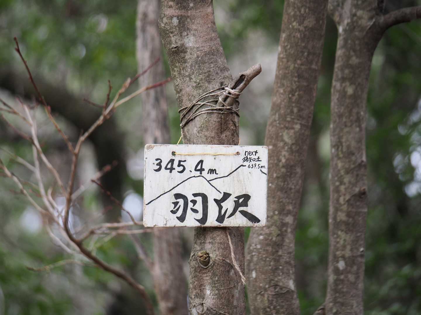 時間ないので今日はここまで👋