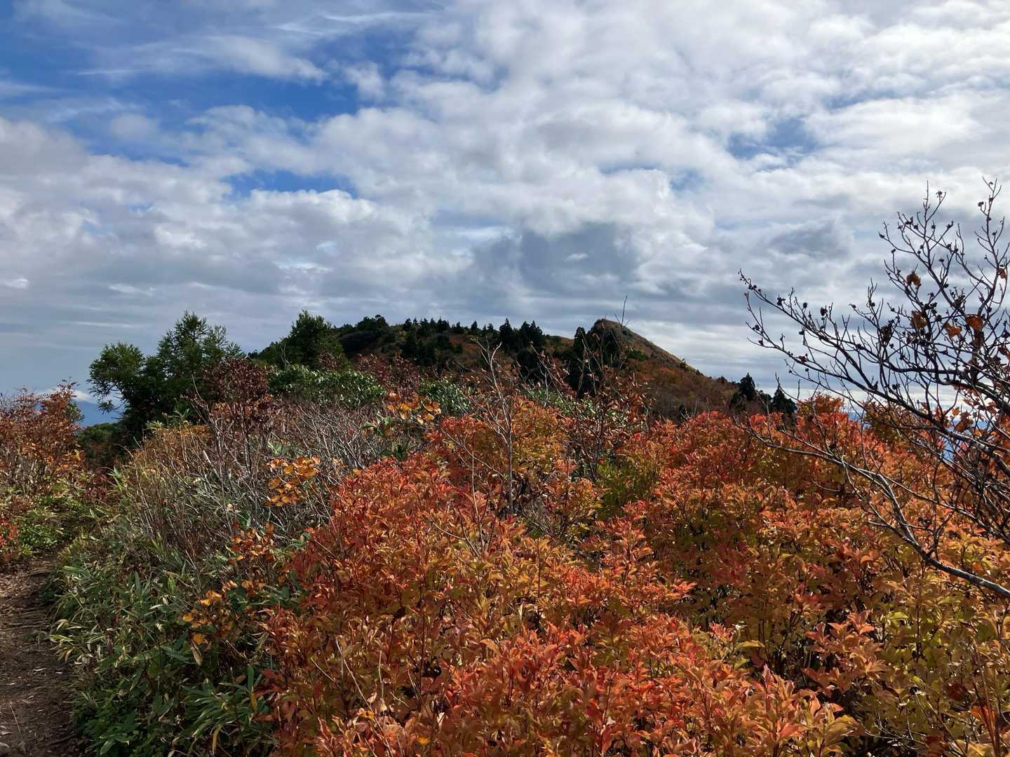 室谷登山口-御神楽岳 往復コースの写真