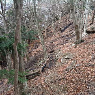 焼けた跡が。。