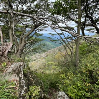 岩の間から夷守岳方向を覗く。