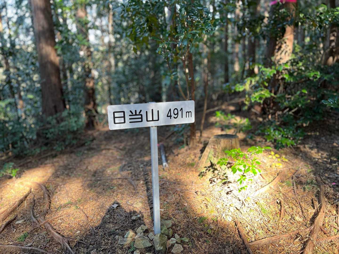 日当山、確かに日は当たってるけど…
眺望はないです