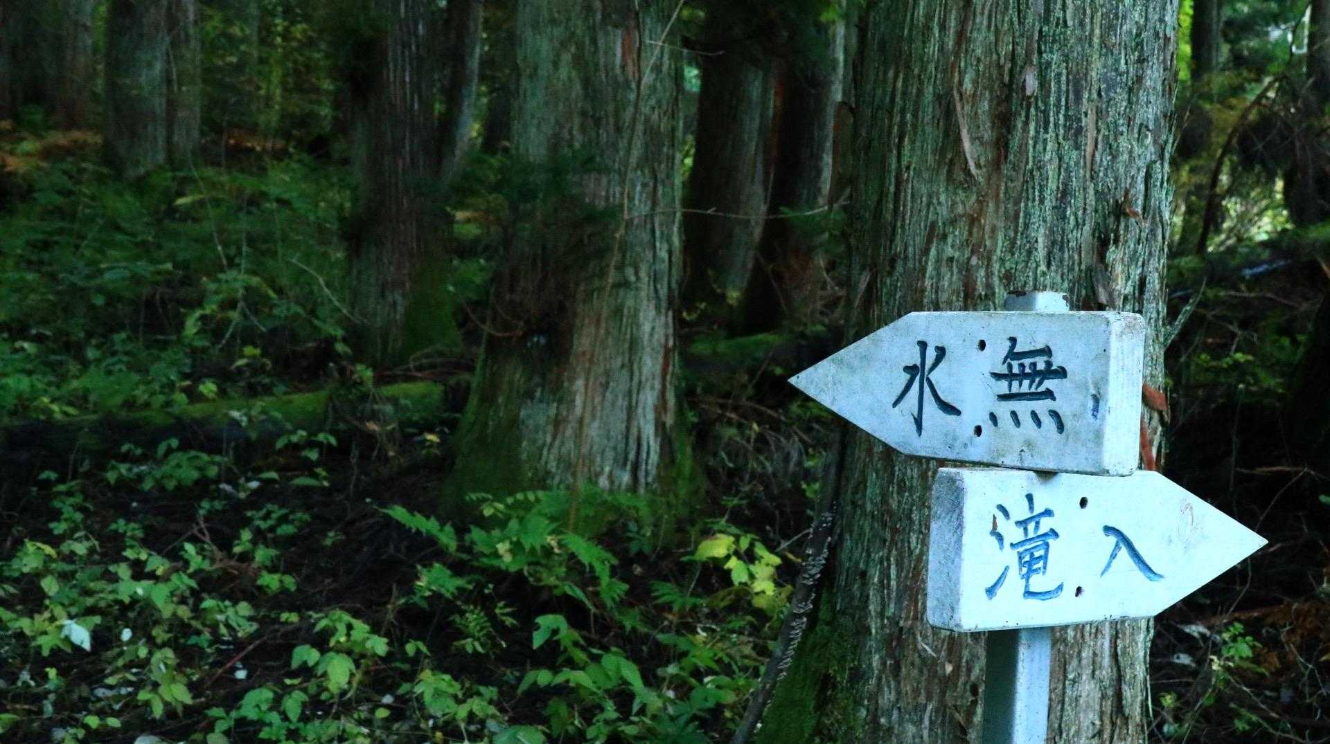分岐。
水無コースから登り滝入コースより下ります。