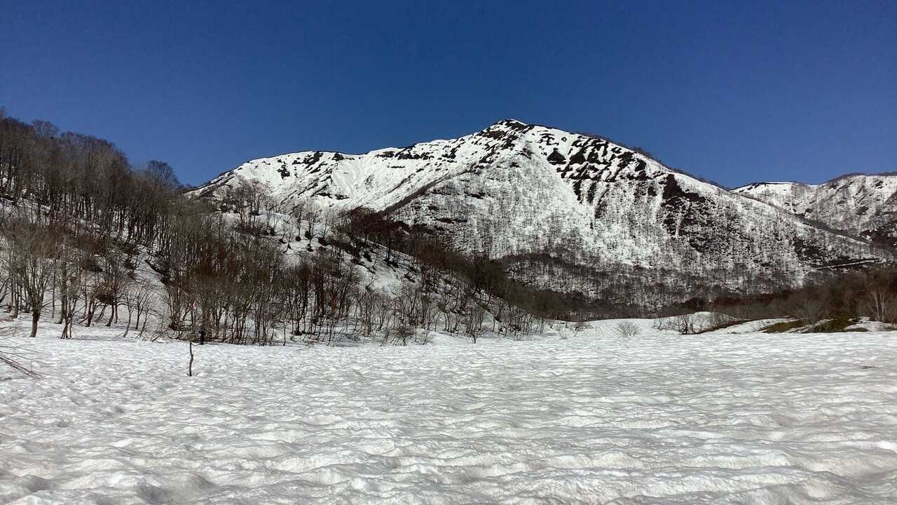野伏ヶ岳の写真