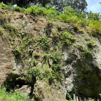 浄智寺駐車場に鎌倉らしく山を削った跡あり。