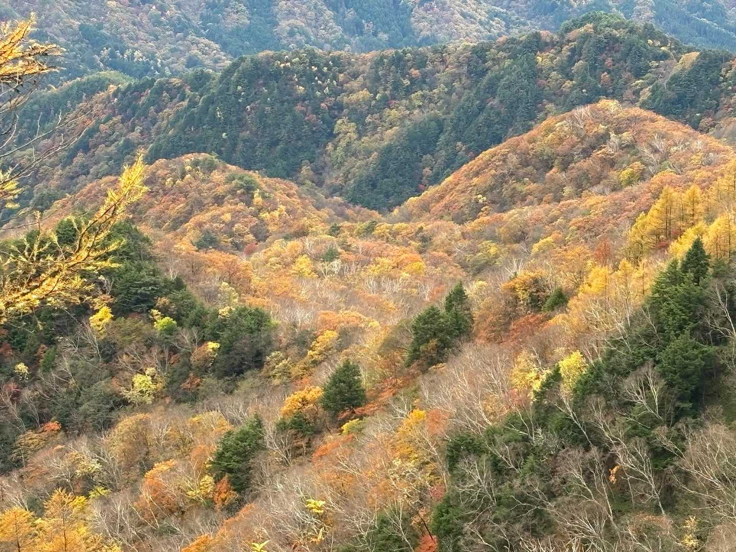 下界で散策していると🚶‍♂️🚶
またお天気が回復したので、リベンジする事に∩^ω^∩🏔️
