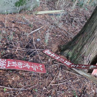 「虎御前石」に近づいてみると「富士山は前方です」の表示が…
木々に阻まれて富士山なんか見えるか～い！
やっとクソポイント追加。+3
