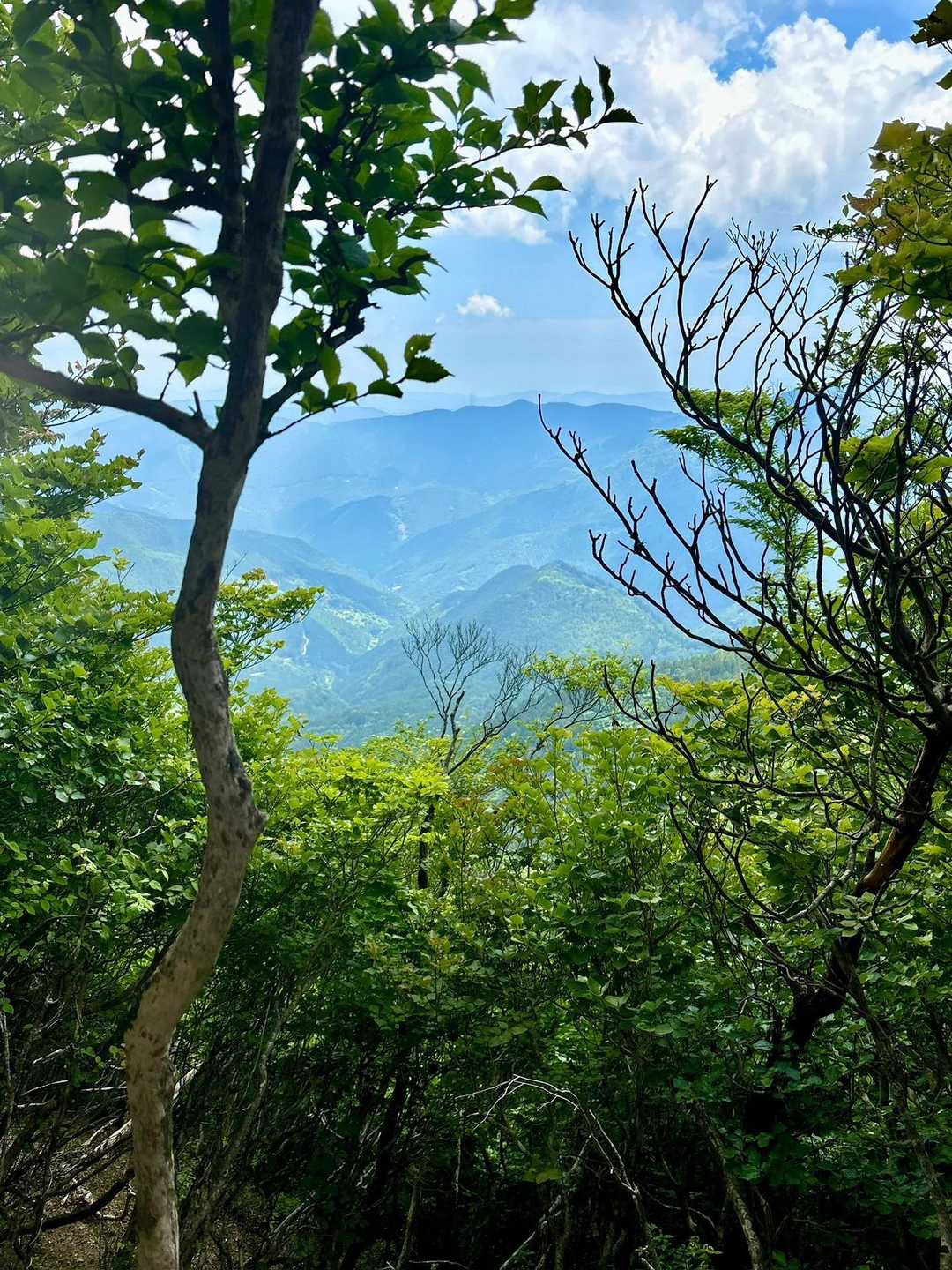 高丸山登山口-三つ尾の峠-高丸山-旗立山-赤石丸 周回コースの写真