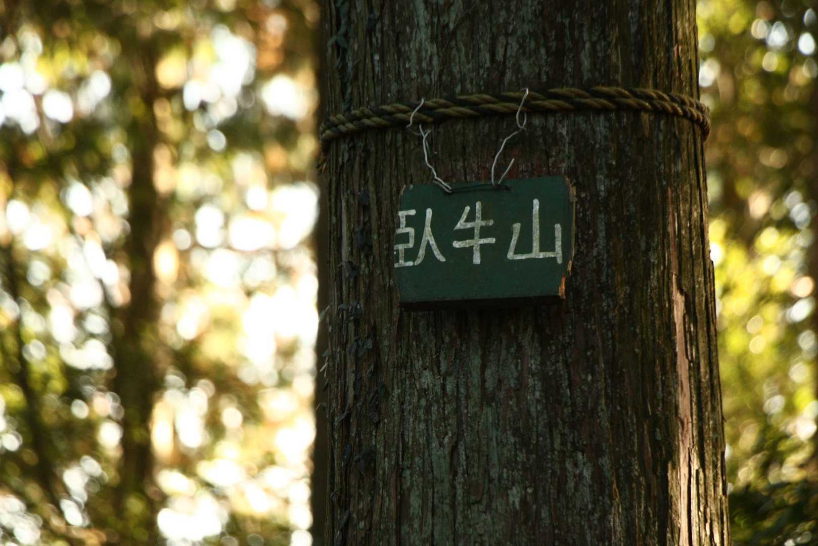 備中松山城跡入口-大松山つり橋 往復コースの写真