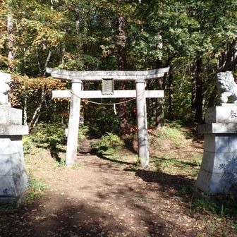 この鳥居からスタート