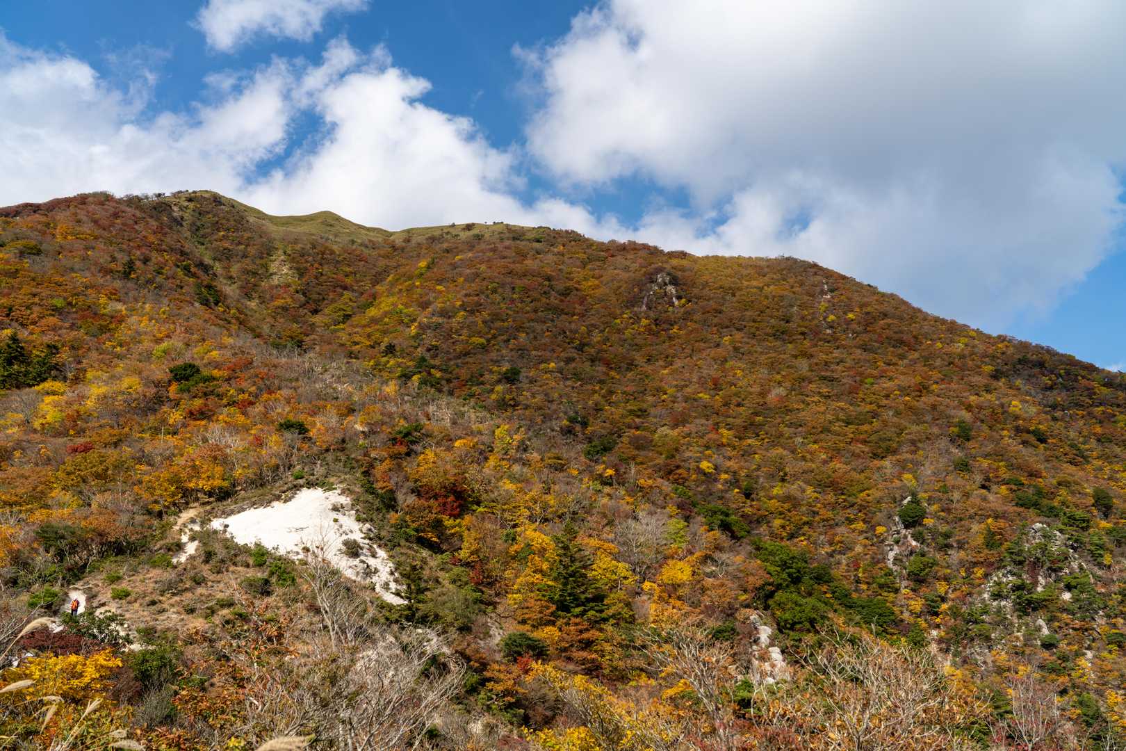 山頂方面。