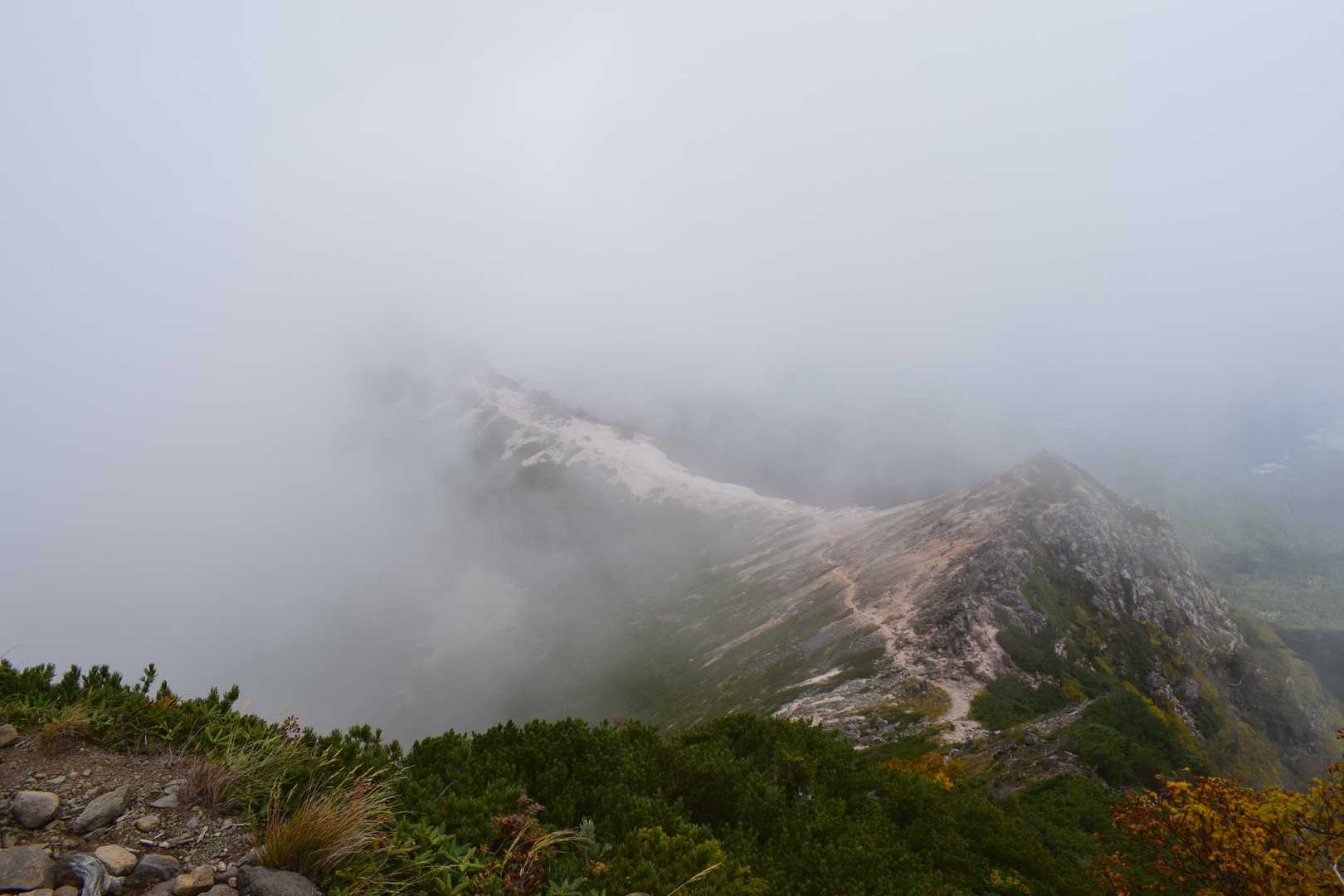桜平ゲート-桜平登山口-根石岳 周回コースの写真