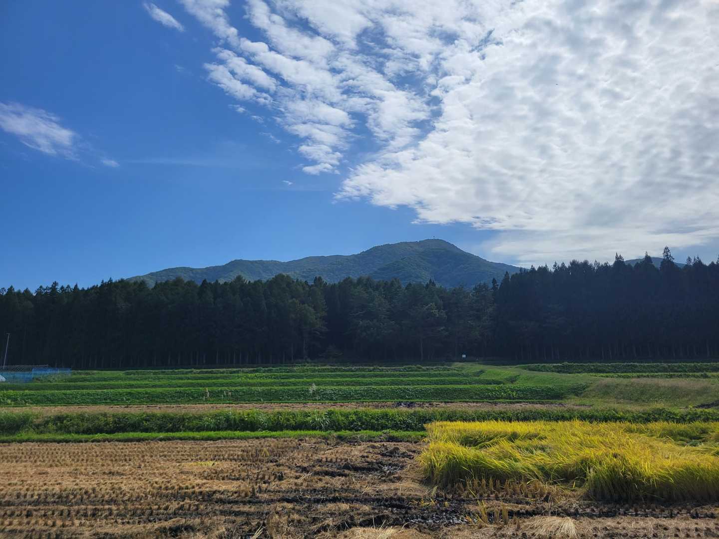 斎藤山 周回コースの写真