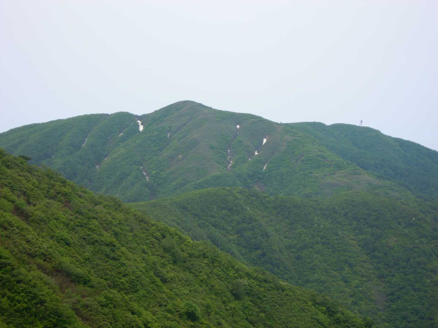 名松新道登山口-銀杏峯-小葉谷登山口 周回コースの写真