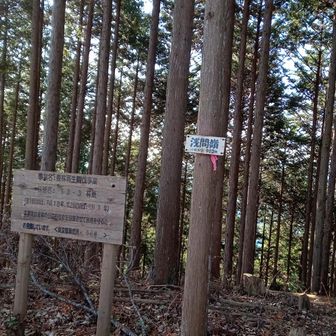 浅間嶺。
ここは眺望なし。