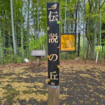 伝説の丘に登頂！
富士山、そして伝説の…
なんか、どちらも名前の方が勝っちゃってる感じが、、😁