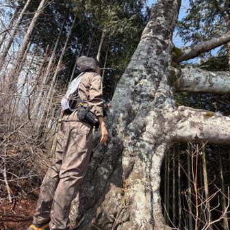 孤高の太郎を見て、、、、