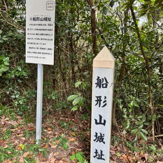 ピーク取れました△