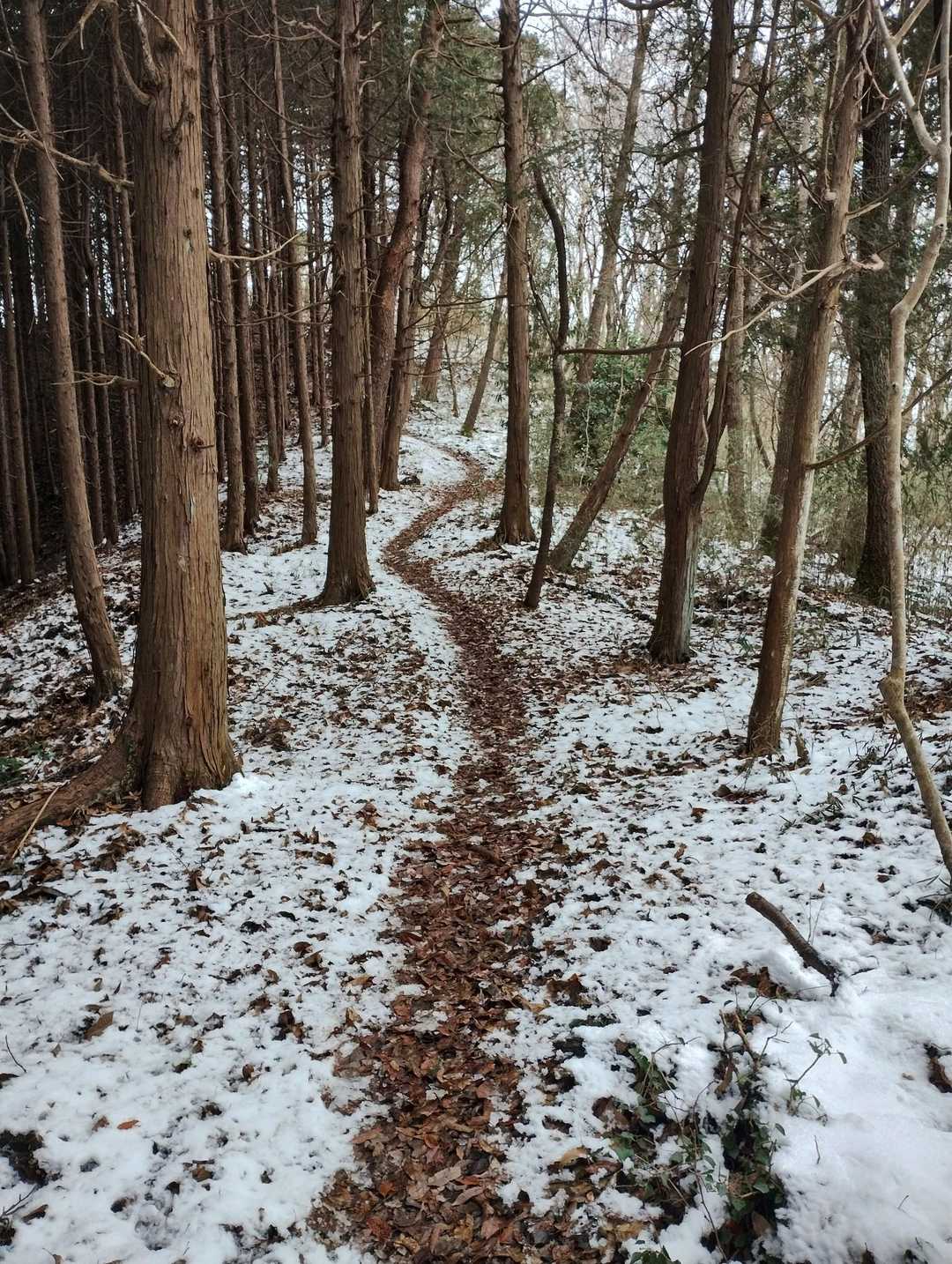 鳥越峠への帰り道