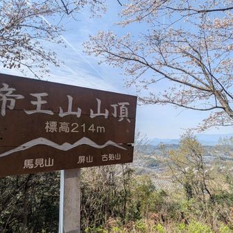 とても良い天気です