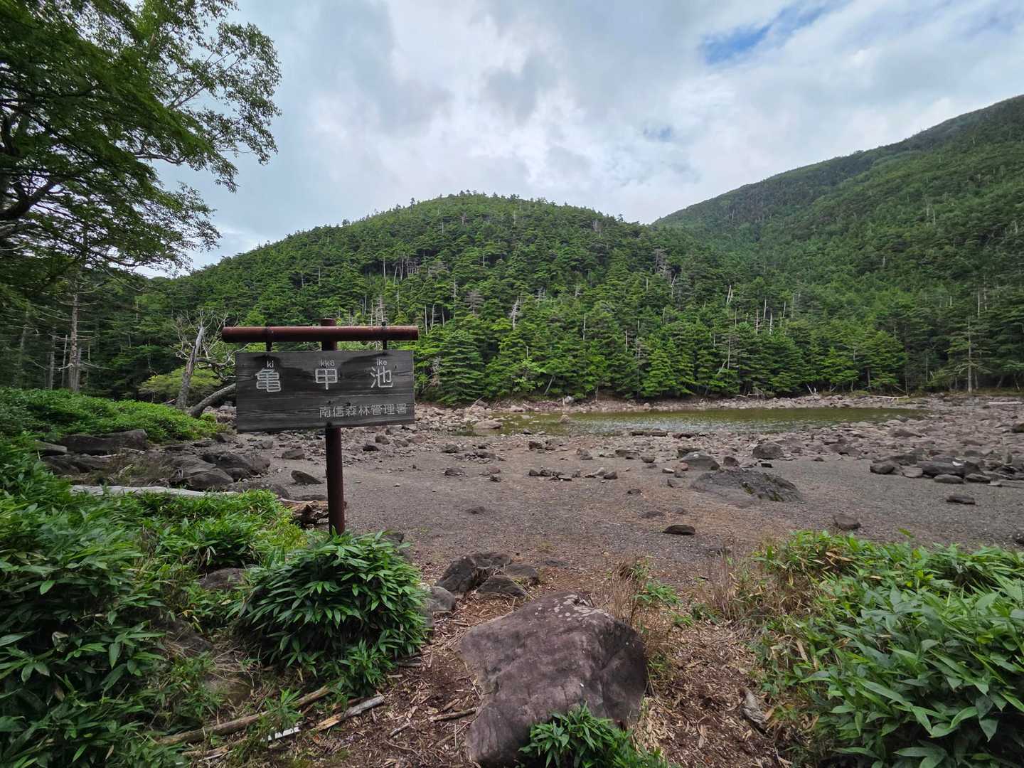 大河原峠-双子山 周回コースの写真