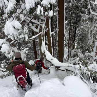 奥馬鬣山の先はノントレース
