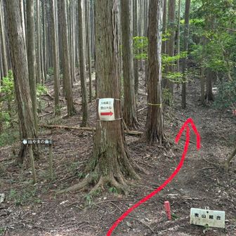 戒場峠…ここは直進▶️して戒場山へ
ココから100mほどの登り⤴️
