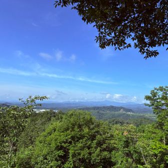 山頂、虻がすごかった💦