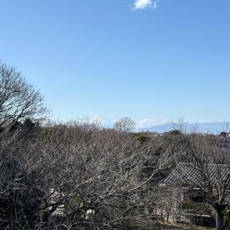 山頂より丹沢と富士山