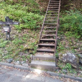 小屋から３時間弱かけて降りてきました