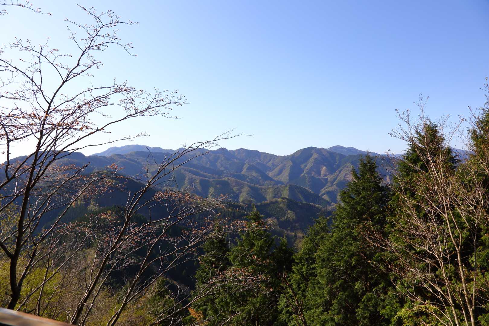 杉が越-二上山女岳展望台登山口-二上山 往復コースの写真