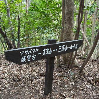 親切な案内板🪧