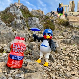 長尾です。たぶん。