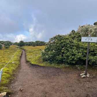 来た道を戻ります