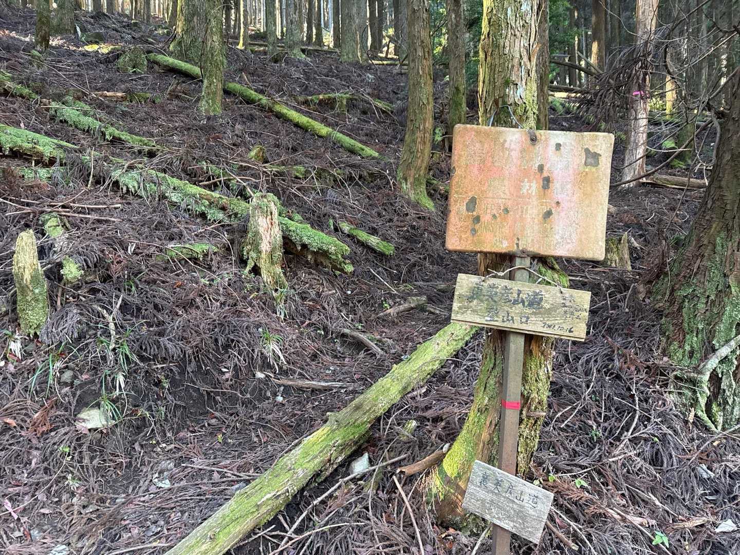 ココからが裏英彦山ルート始まり