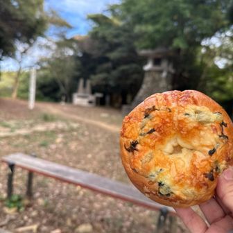 再再度城山登頂👍✨✨
あ！高菜とチーズのベーグル🥯持ってきてたんだった！
