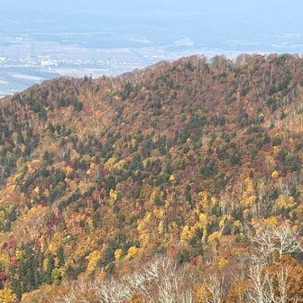 沖里河山から続く稜線の紅葉がきれいだった！
写真より直に見た方がずっときれい！