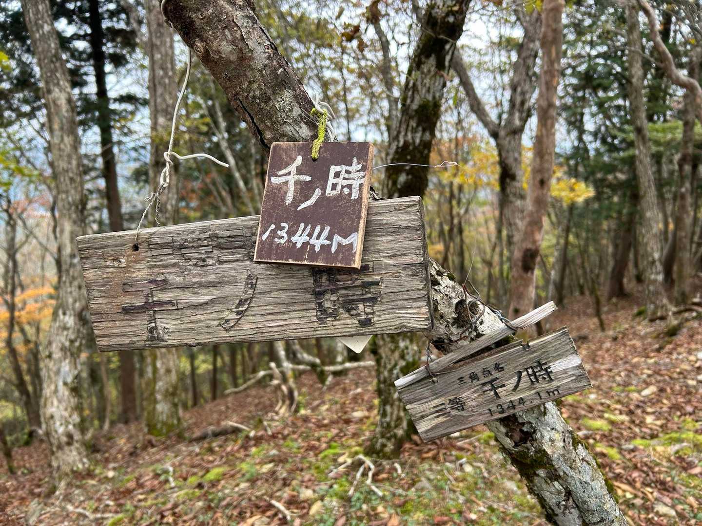 道の駅スタート、護摩壇山と龍神岳までスニーカーハイクの写真
