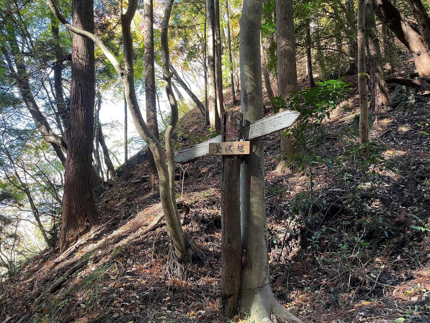 ここからちょっと不安になる道だったなー🤔
県北トレイルのシールで安心感が増した感じ🎶