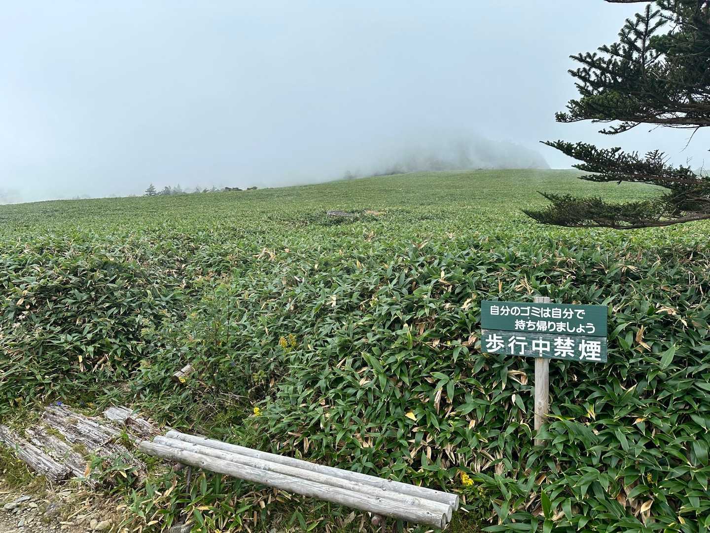 あっちに瓶ヶ森(女山)があるはず。