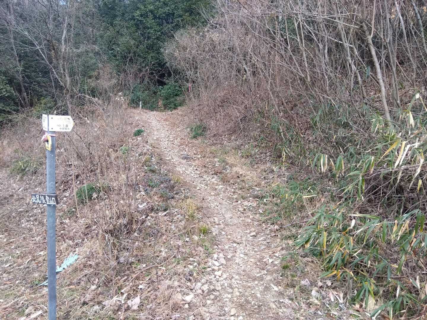 そのまま猿啄城に行くと人が多そうで恥ずかしいので遠回りするルートで北尾根からスタート