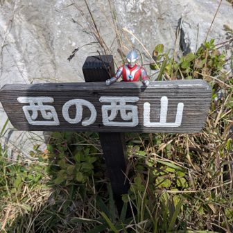西の西山
　　とうちゃこ

久しぶりの
　　登り．．ヒィーハァ〜