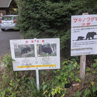 🐻注意😨