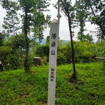 ③勝峰山（454m）