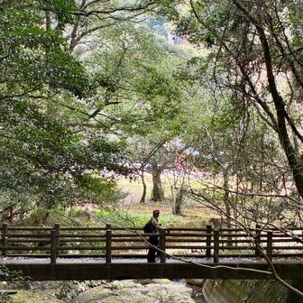皆さま
🐴良いお年をお迎え下さい🎍