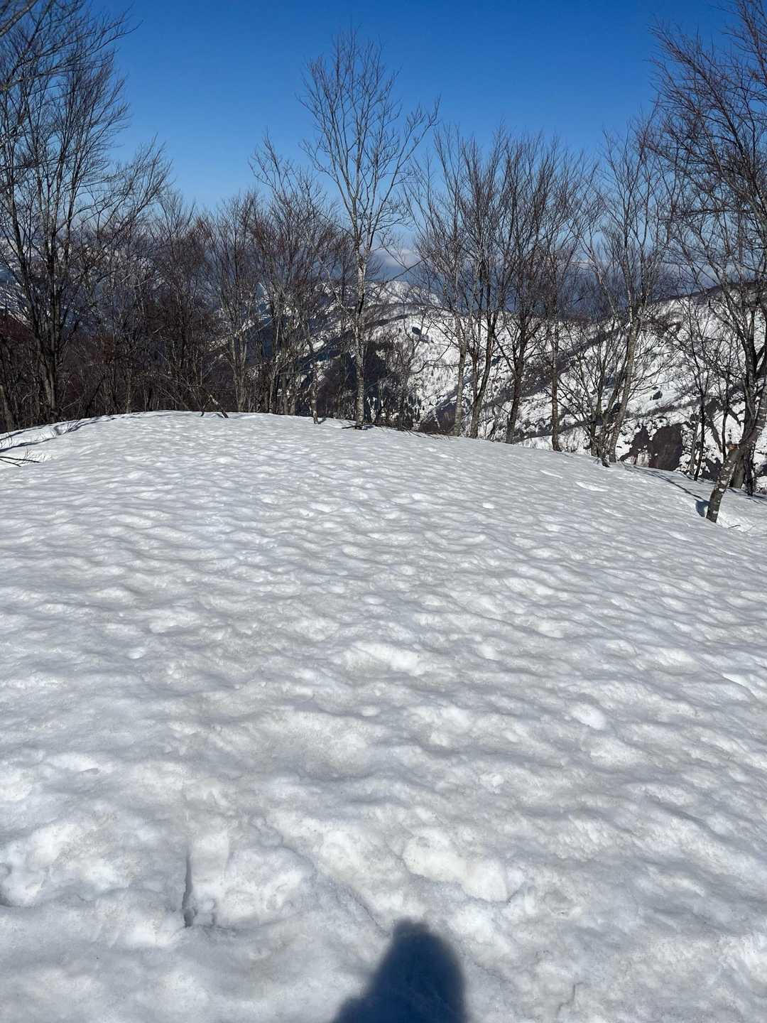 もう撤退してますよ。