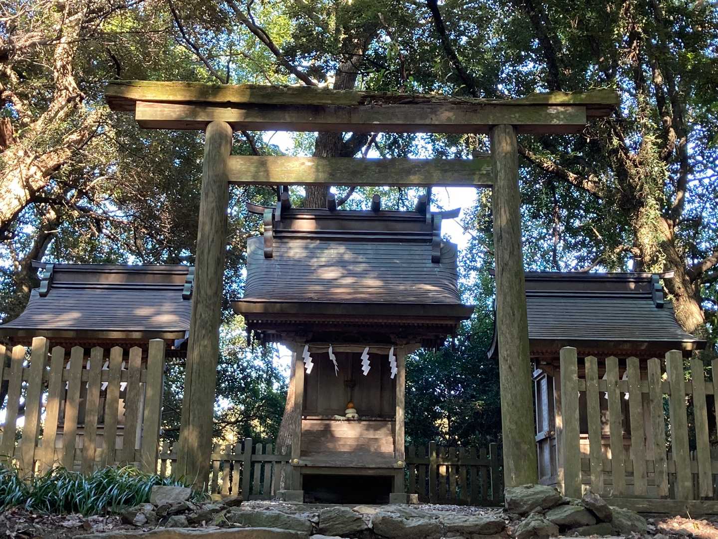 今年は何回…
