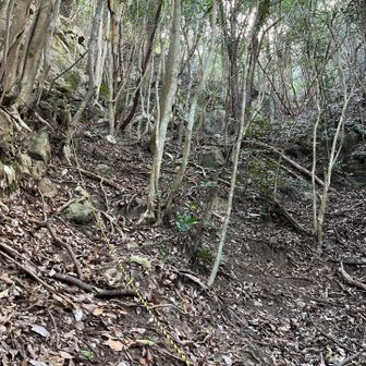 鋸岳山頂直下の急登